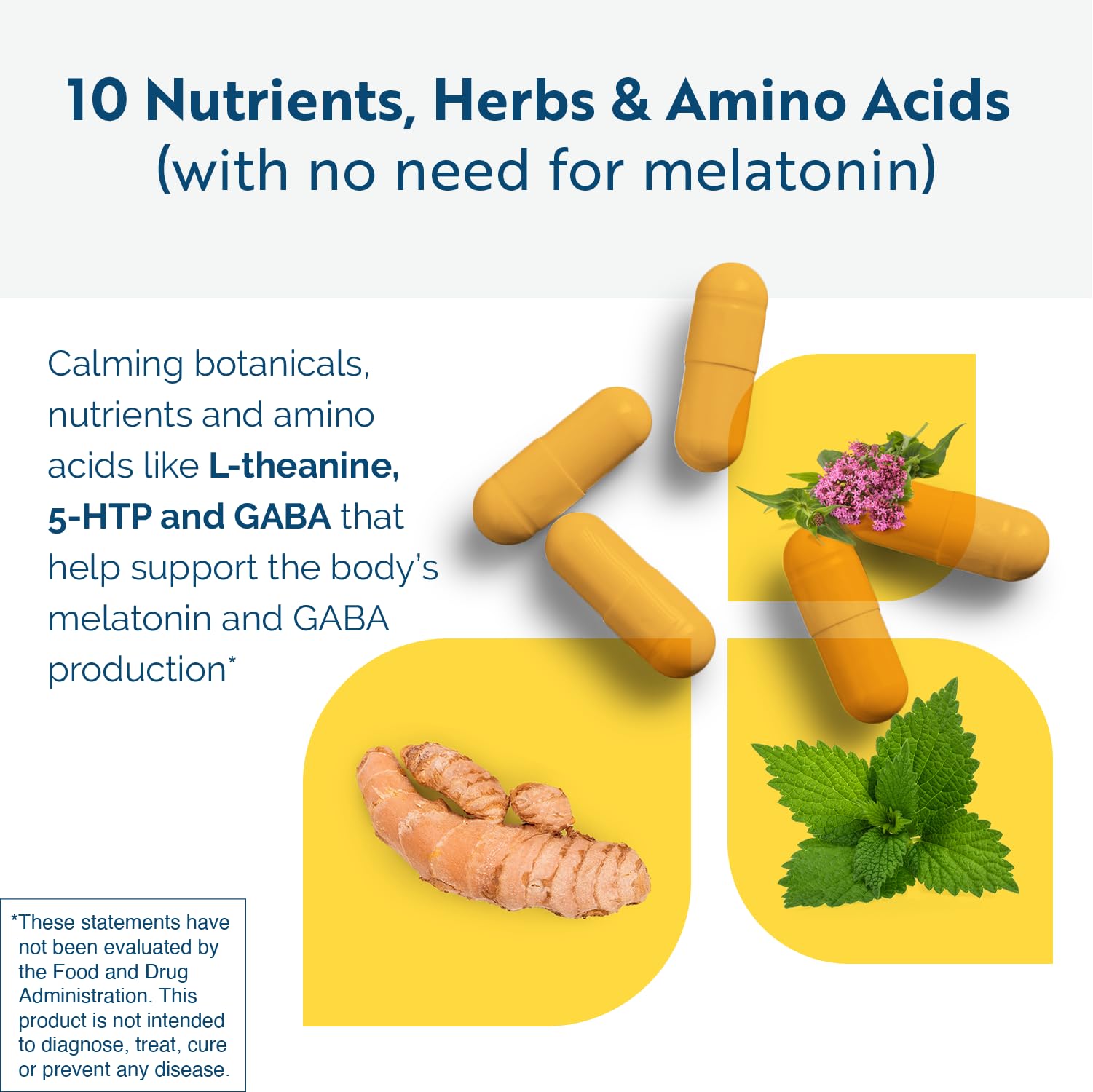 Researched Nutritionals Circadian PM polvo y extractos que ilustran ingredientes botánicos y apoyo calmante