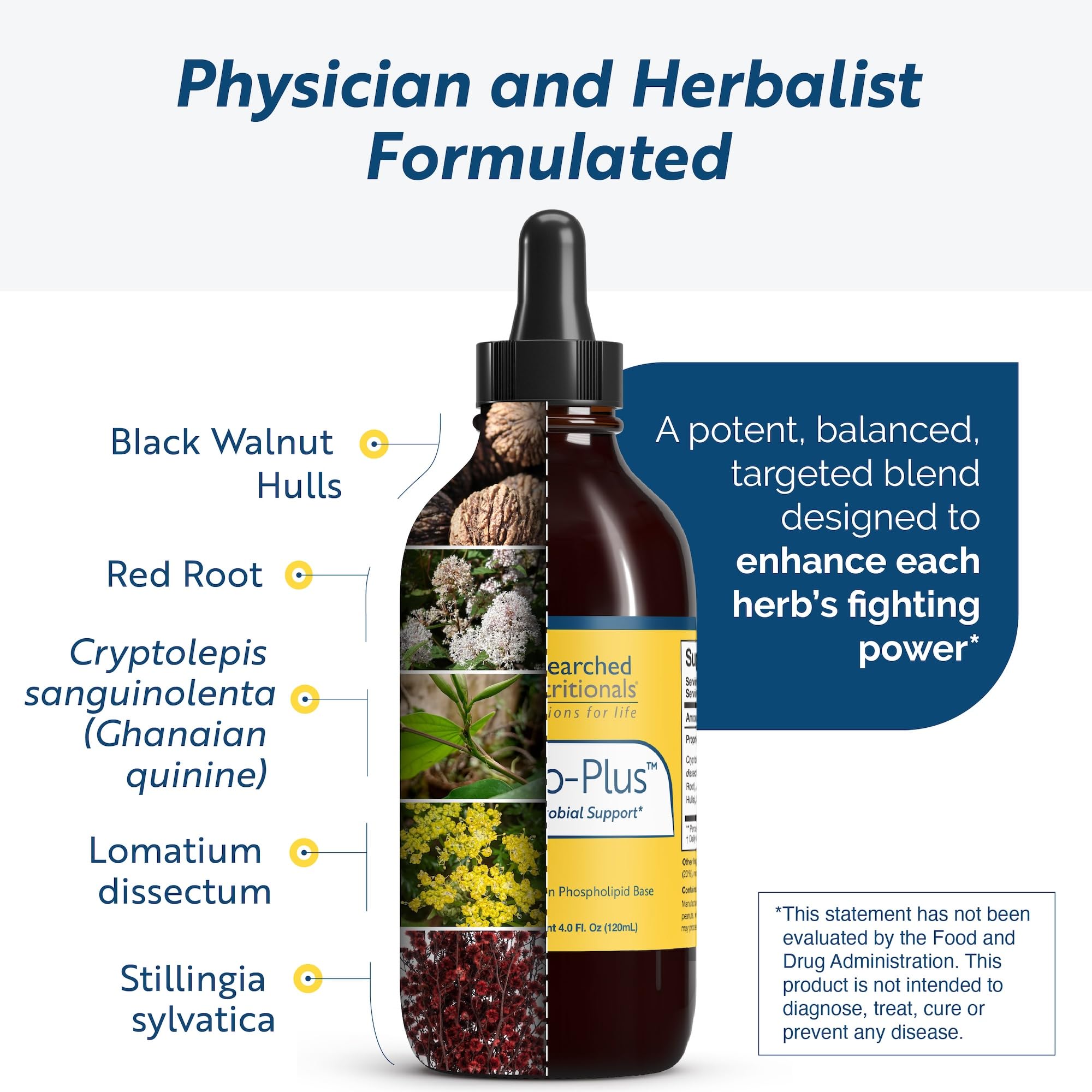 Researched Nutritionals Crypto-Plus raíz roja en primer plano que ilustra el origen vegetal