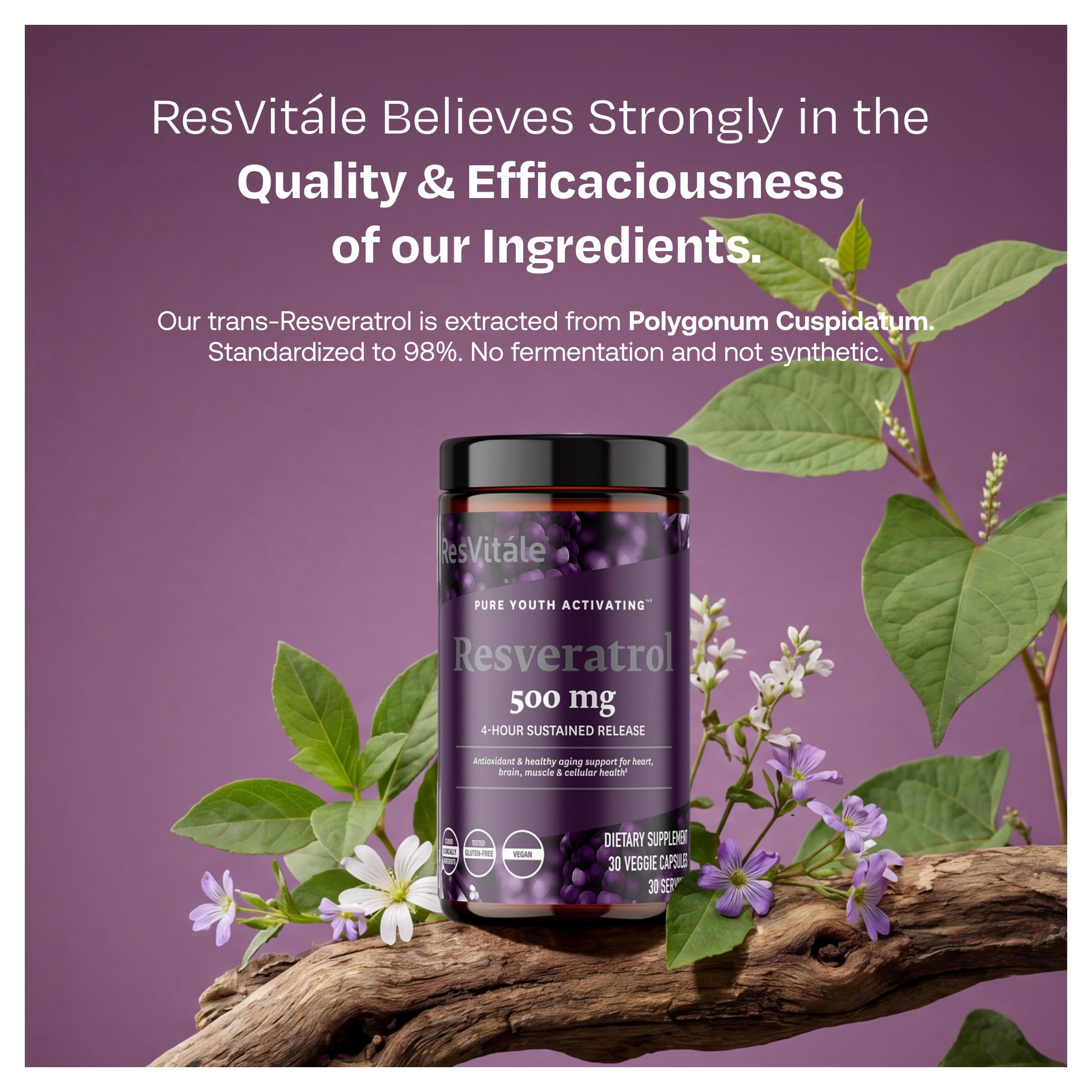 ResVitale ingredientes knotweed y quercetina demostrando origen natural