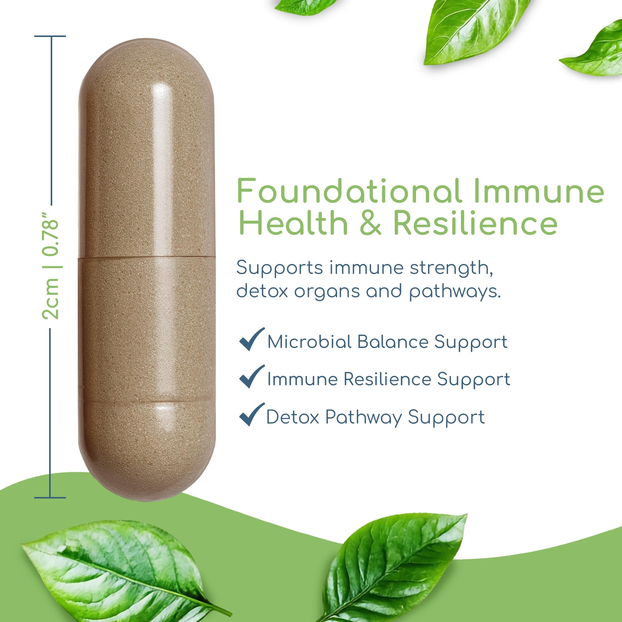 Return Healthy ingredientes clave Cryptolepis, Sida acuta y Bidens pilosa unidos