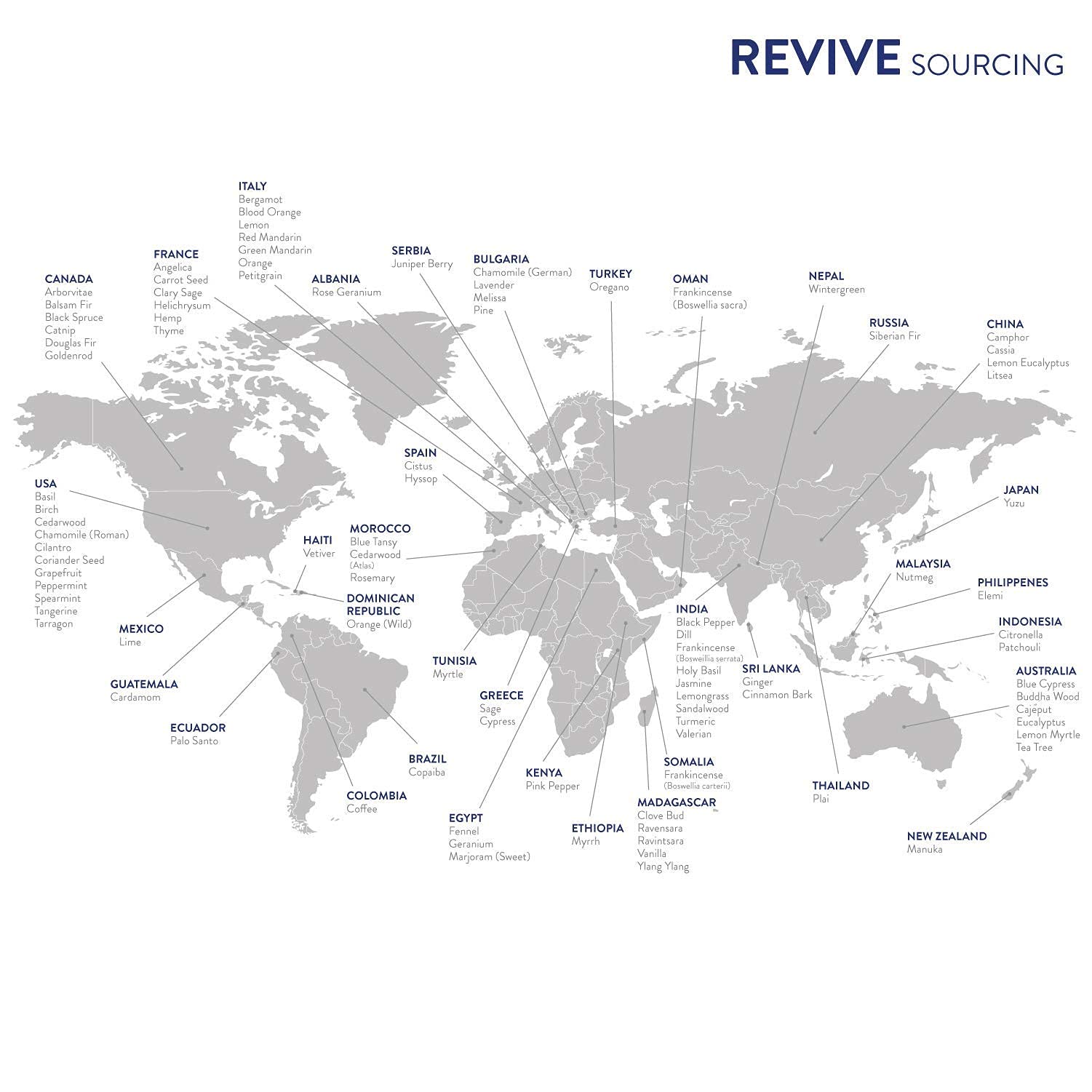 REVIVEEO bote Vanilla junto a monedas para comparar tamaño y facilitar compra