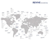 REVIVEEO bote Vanilla junto a monedas para comparar tamaño y facilitar compra