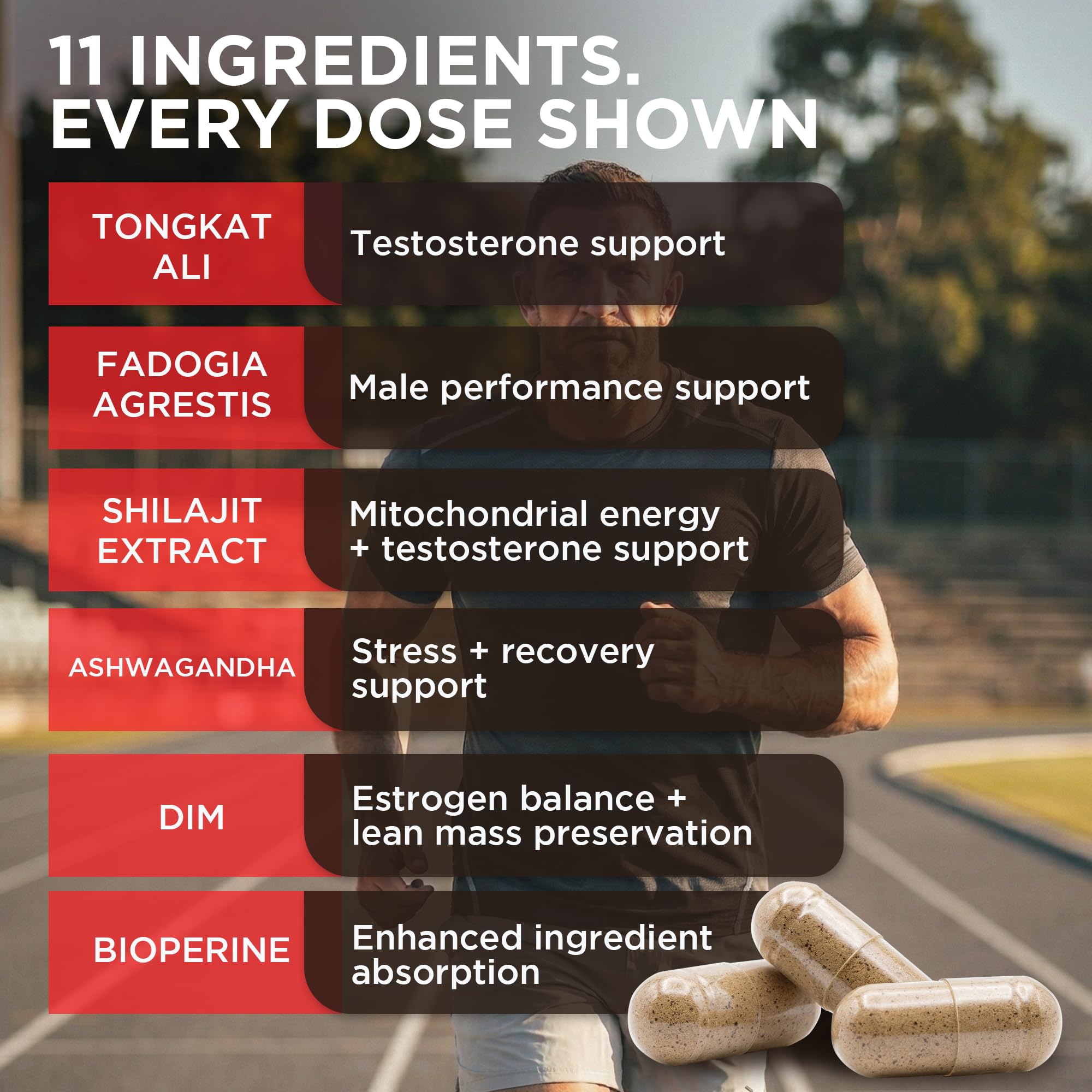 Ilustración de ingredientes clave de T‑GAINS Revolution Science destacando soporte de energía