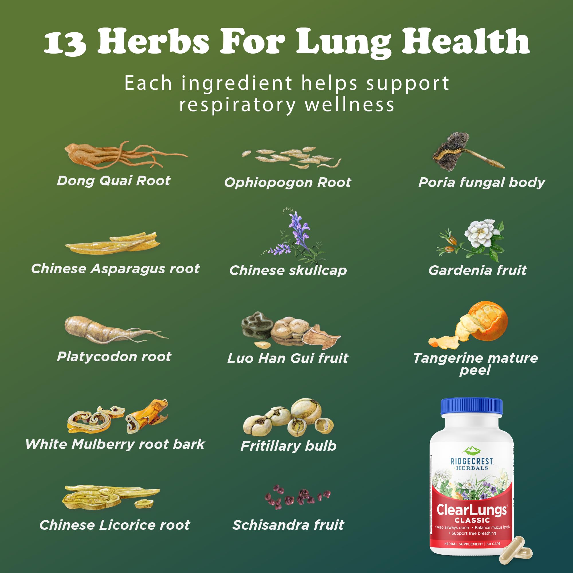 RidgeCrest Herbals frasco junto a regla para comparar el tamaño del envase