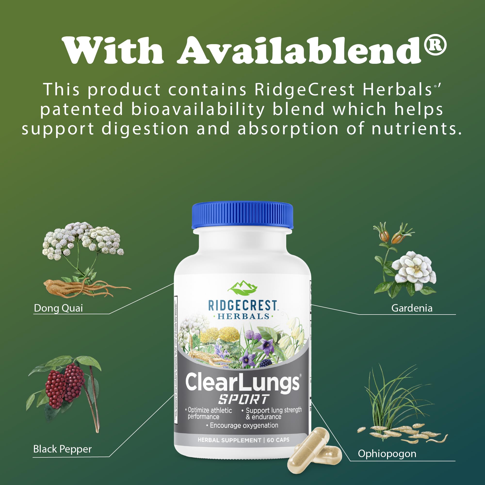 RidgeCrest Herbals ClearLungs Sport en ambiente de gimnasio para estilo de vida activo