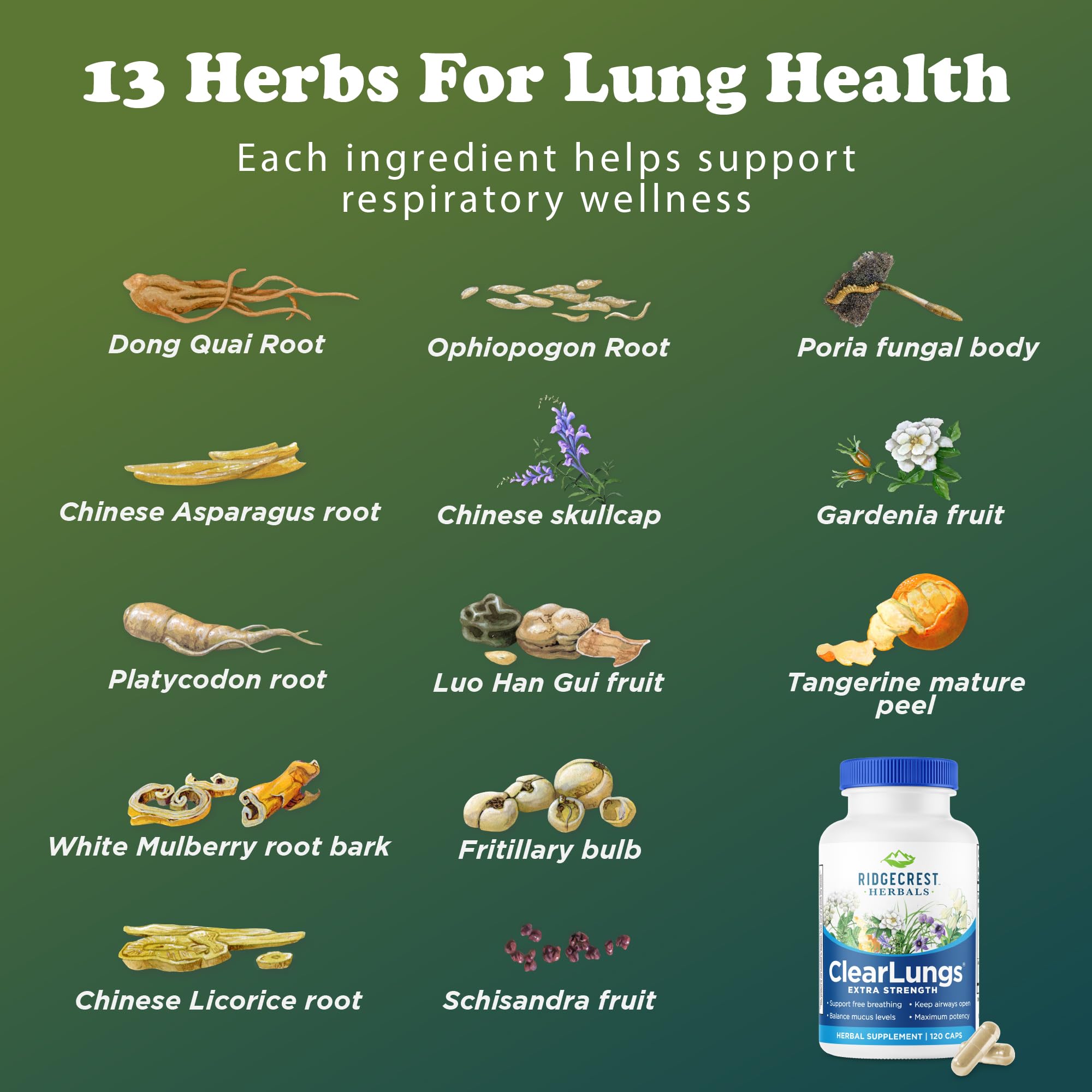 RidgeCrest Herbals producto en ambiente saludable estilo de vida activo