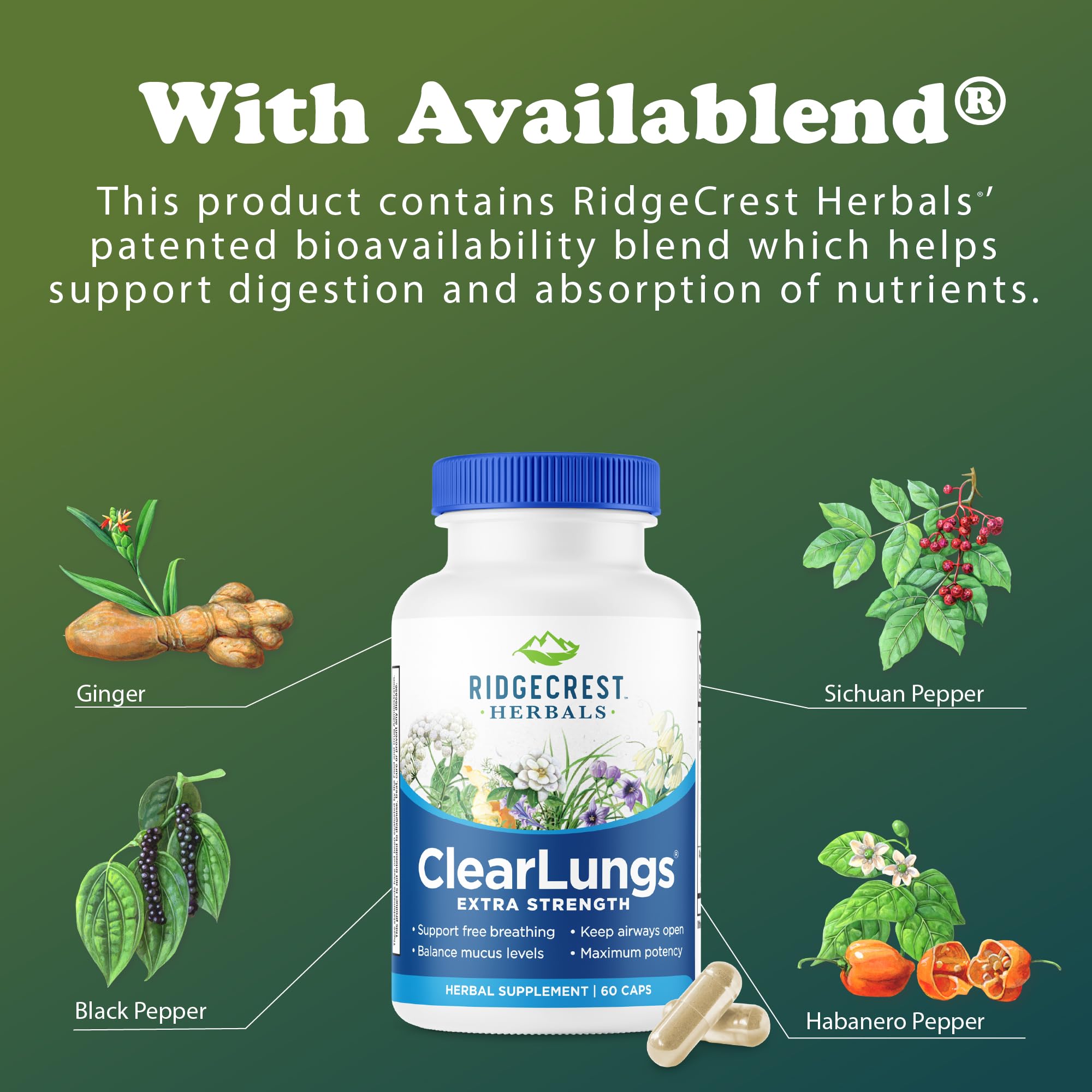 RidgeCrest Herbals persona al aire libre respirando en día con buen aire