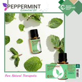 Rocky Mountain Oils botella junto a una regla para mostrar tamaño 15 ml