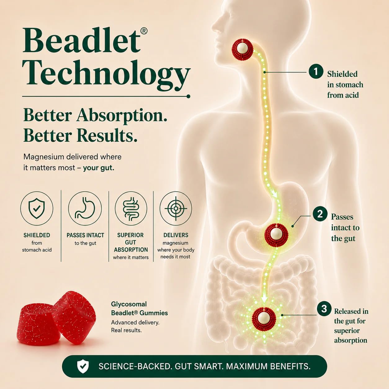 Close-up de una gomita Root Labs que revela textura y beadlet liposomal
