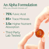 ROOT LABS maca tongkat ali y shilajit juntos mostrando composición