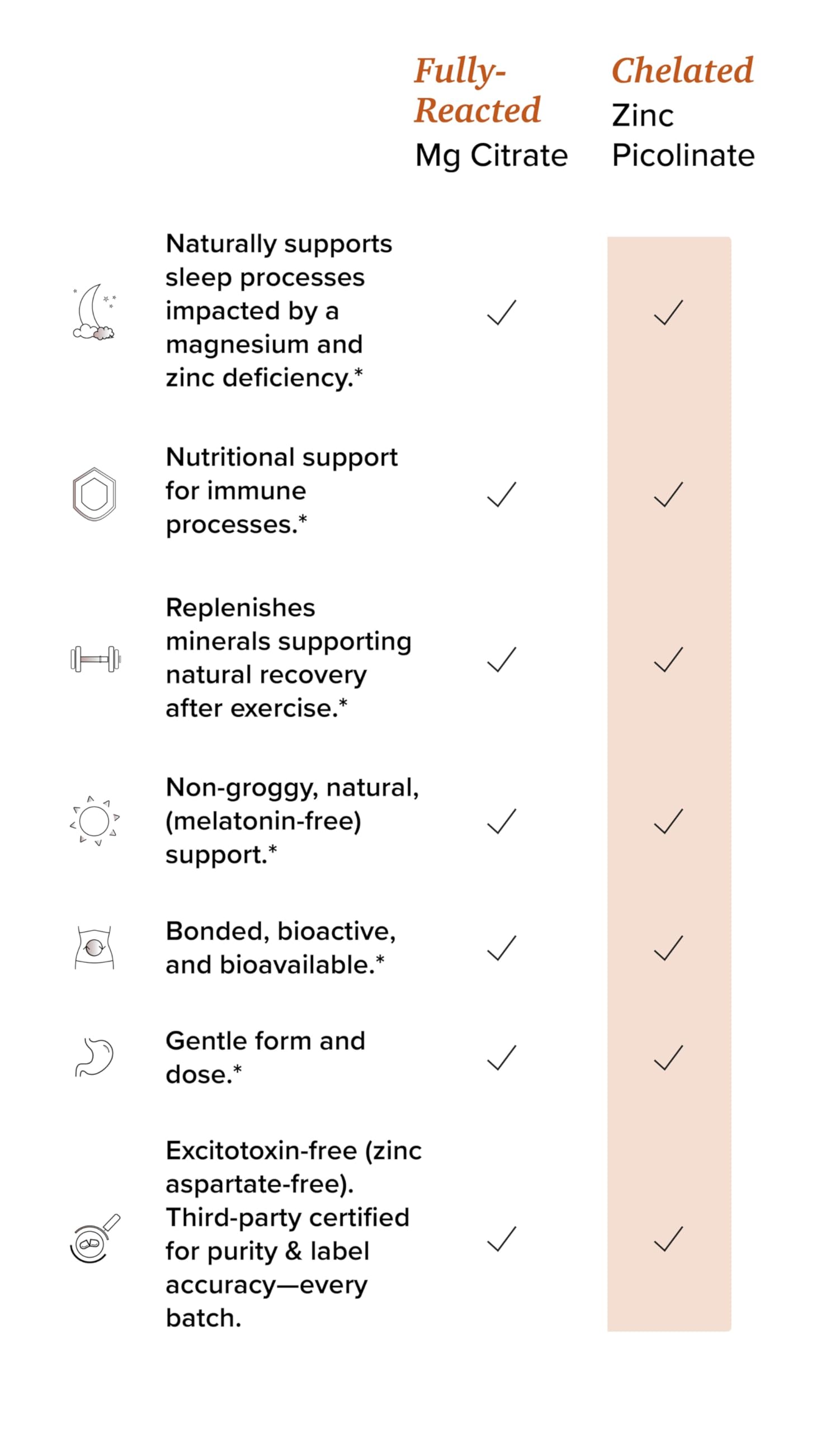 Rootcha etiqueta nutricional cercana mostrando dosis y claridad informativa