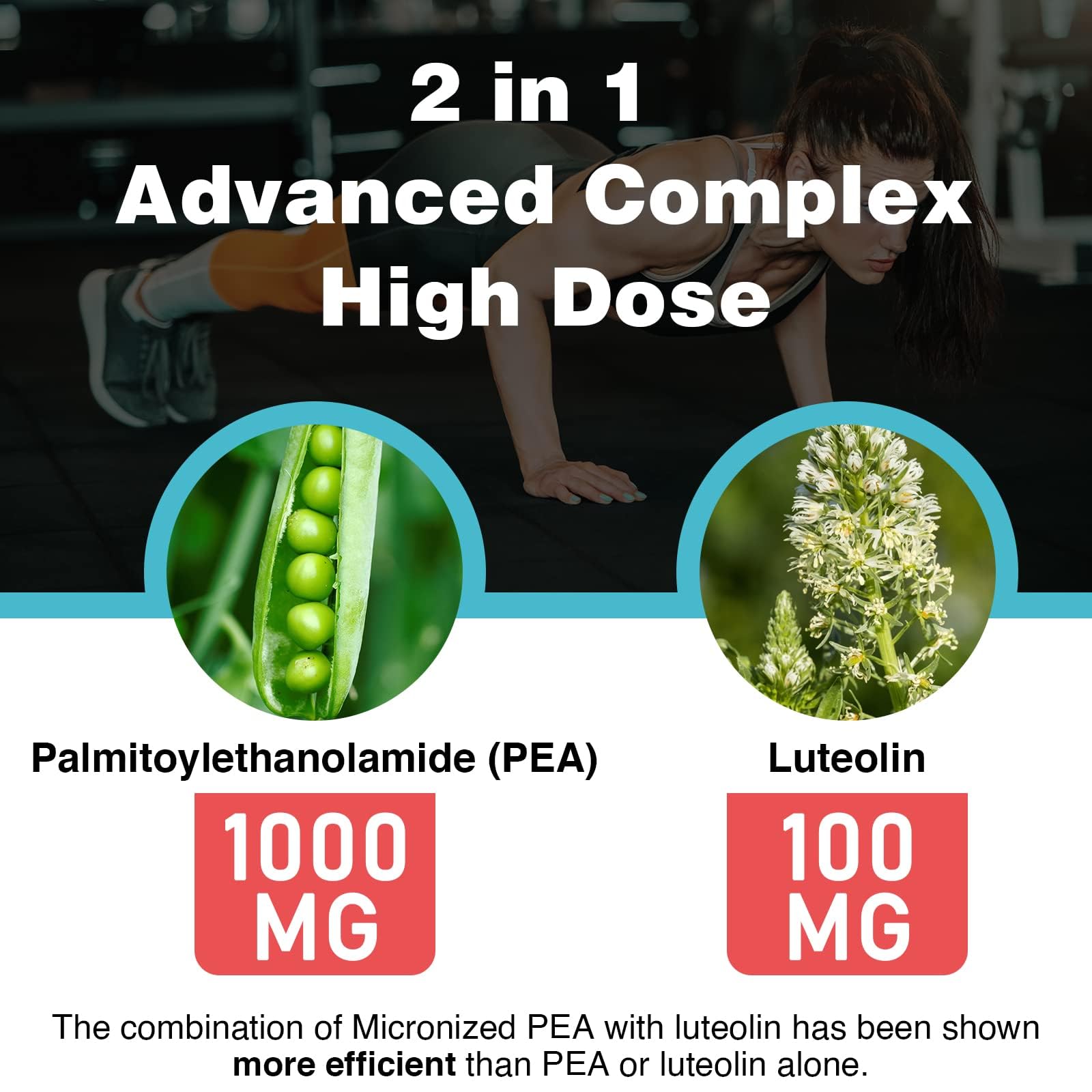 Rosmolo ingredientes con representación de liposomas y aceite