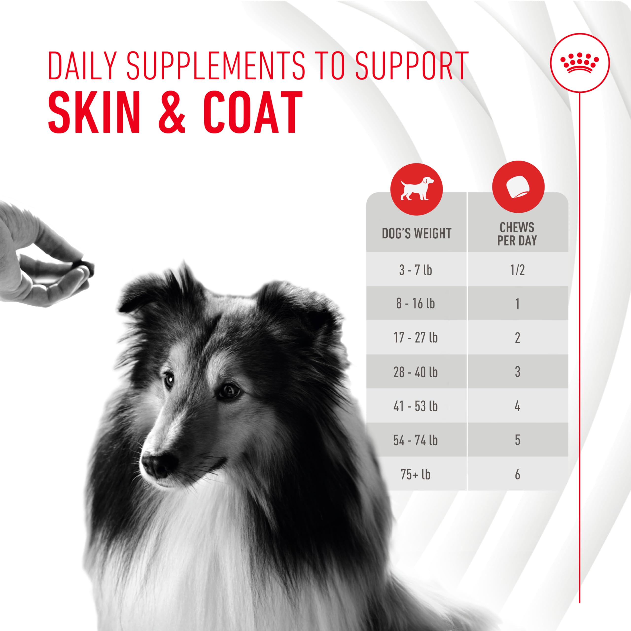 ROYAL CANIN frasco abierto con masticables accesibles y control de porciones