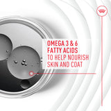 ROYAL CANIN etiqueta de ingredientes y beneficios para la piel visibles