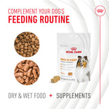 ROYAL CANIN perro recibiendo masticable muestra uso práctico y aceptación