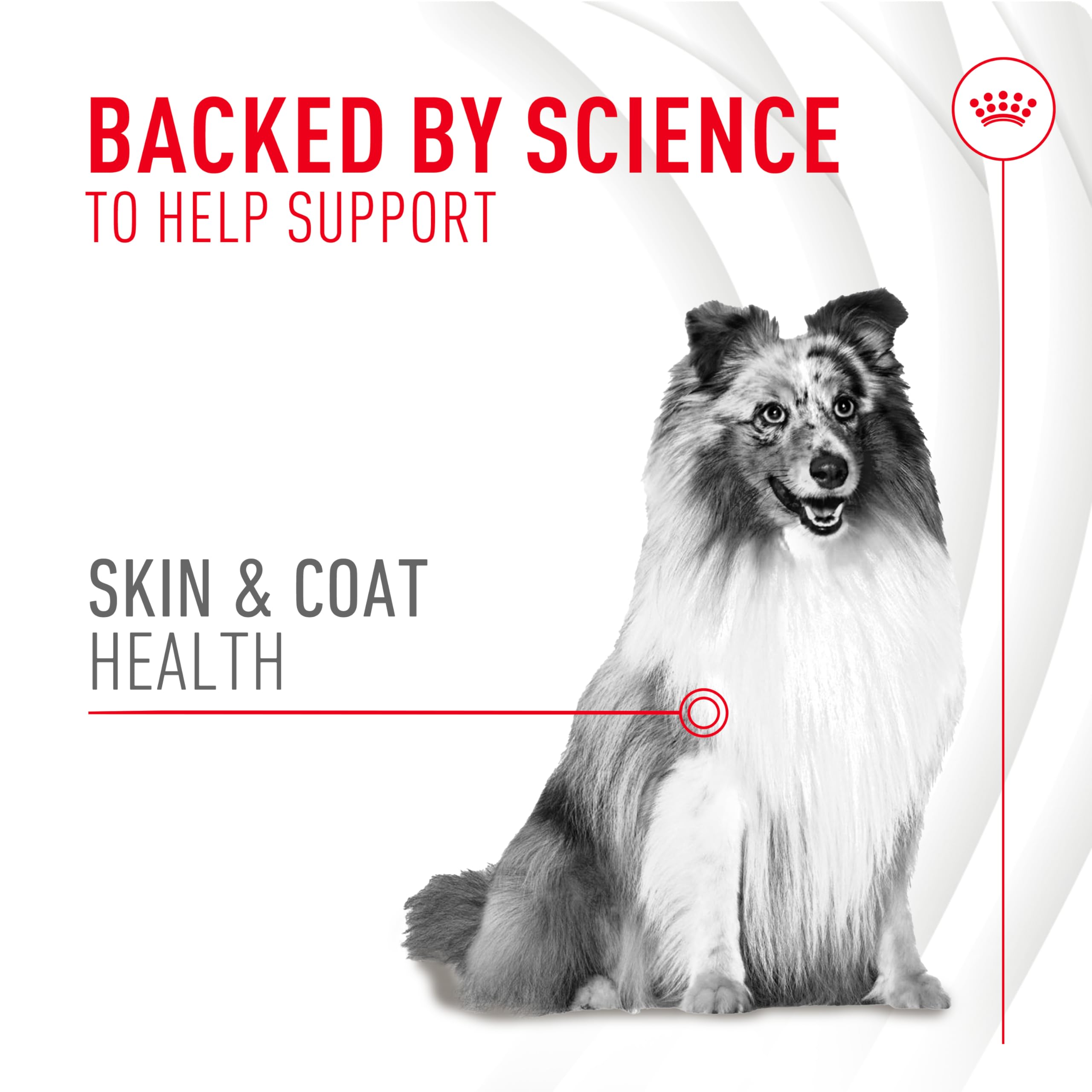 ROYAL CANIN textura del masticable que destaca aceptación y palatabilidad
