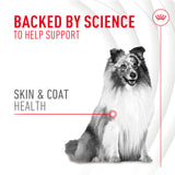 ROYAL CANIN textura del masticable que destaca aceptación y palatabilidad