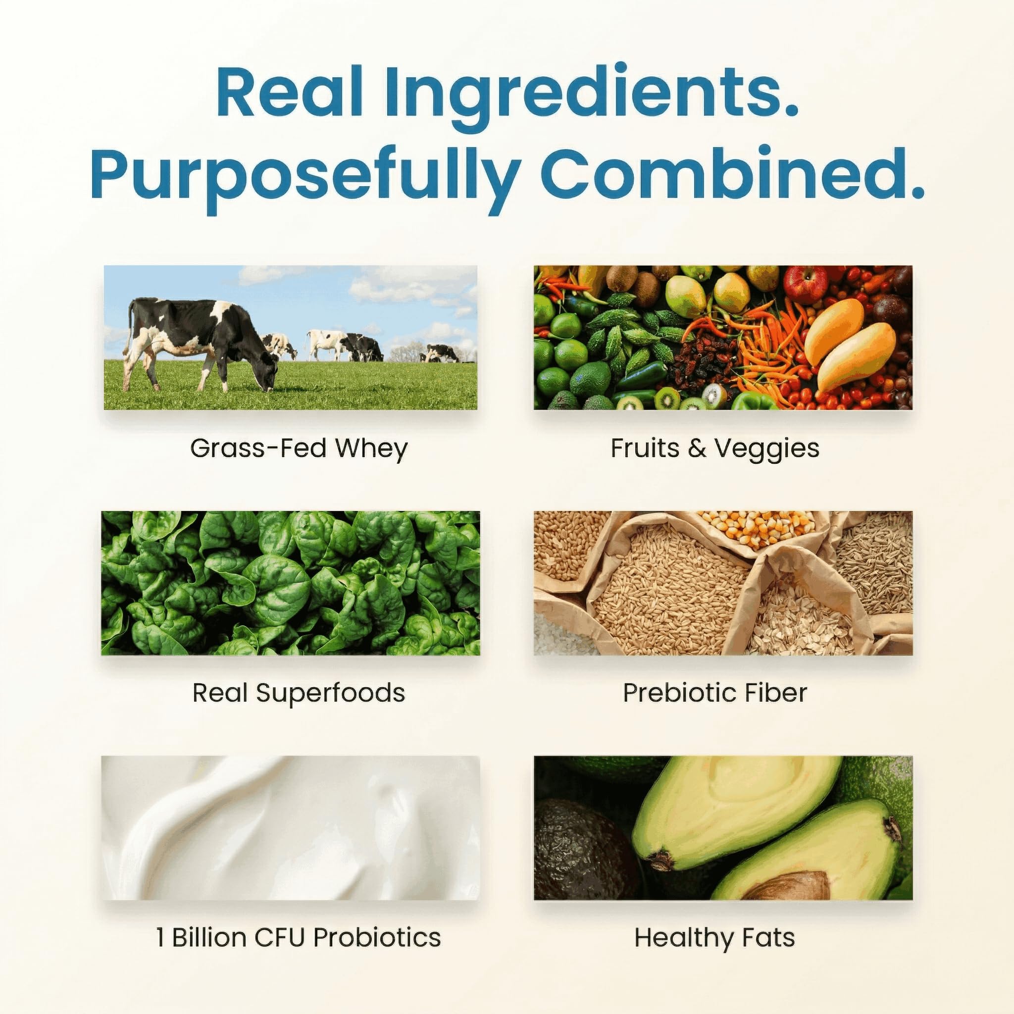 RSP TrueFit primer plano de superfoods para aporte nutritivo y sabor