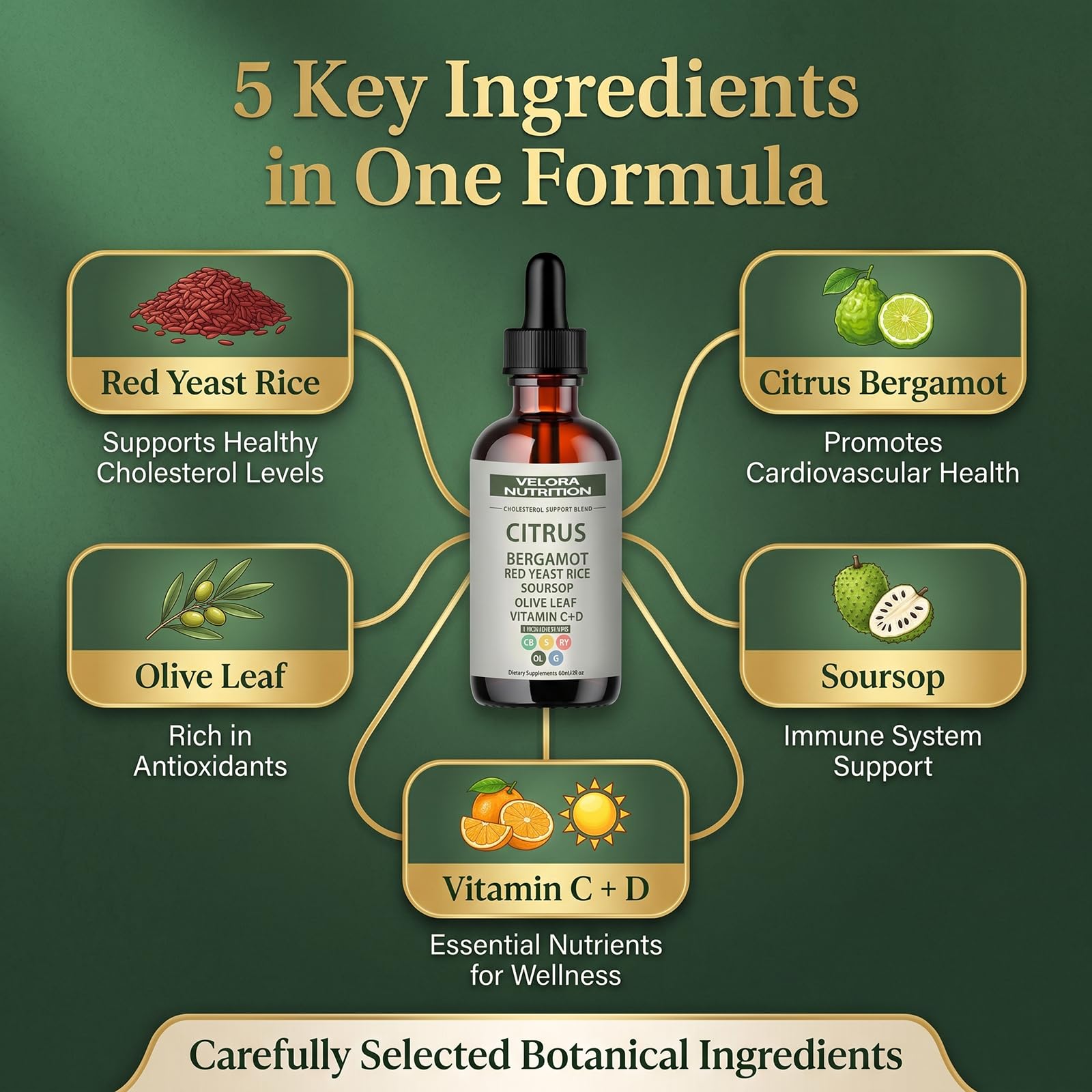 Rtettoa Velora hojas de oliva y soursop juntas destacando origen vegetal del producto