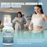 Sahha imagen macro de la tecnología liposomal que protege ingredientes