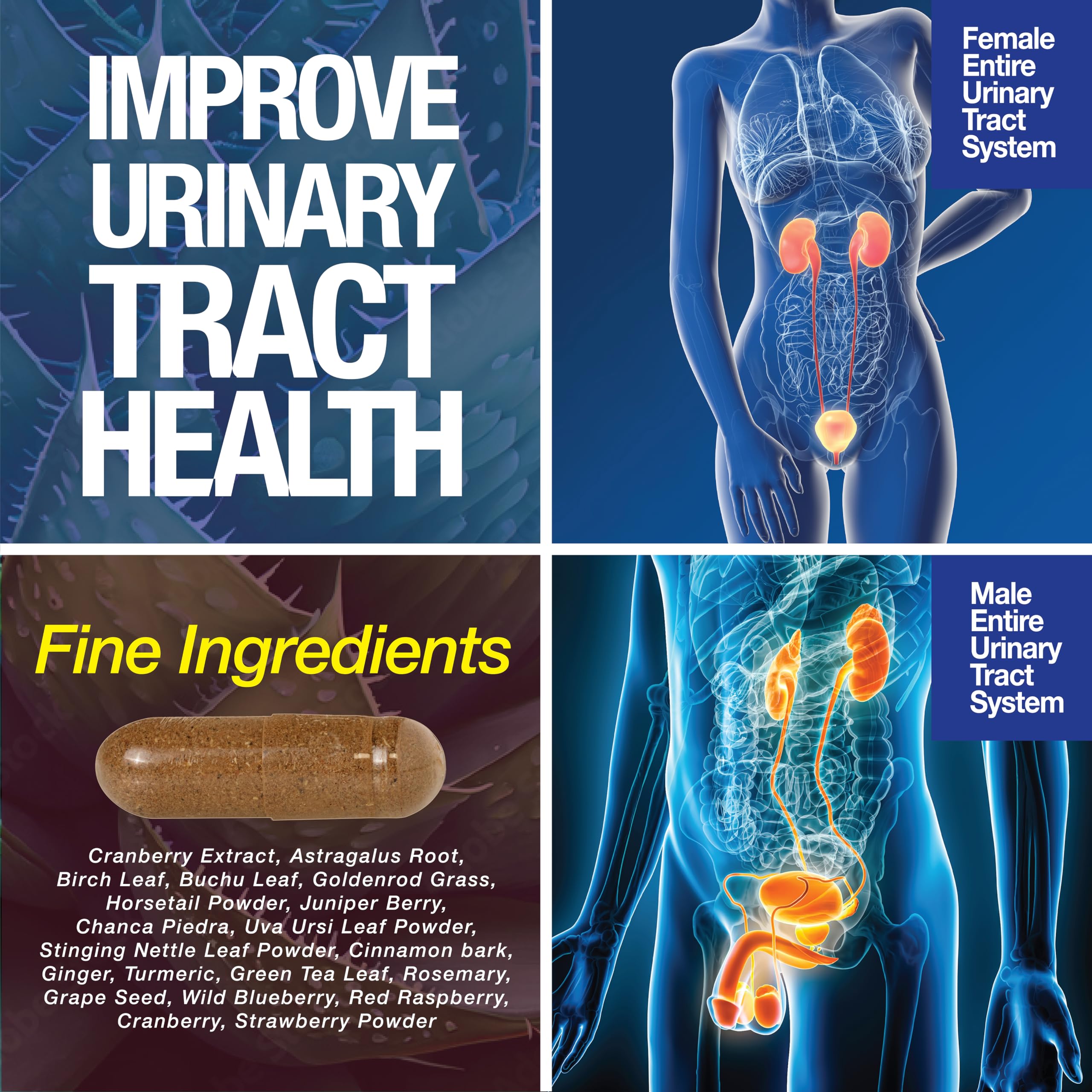 Saint Mingiano etiqueta nutricional en detalle, muestra ingredientes y transparencia