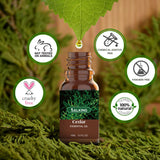 SALKING velas y jabones caseros con aceites listos para usar