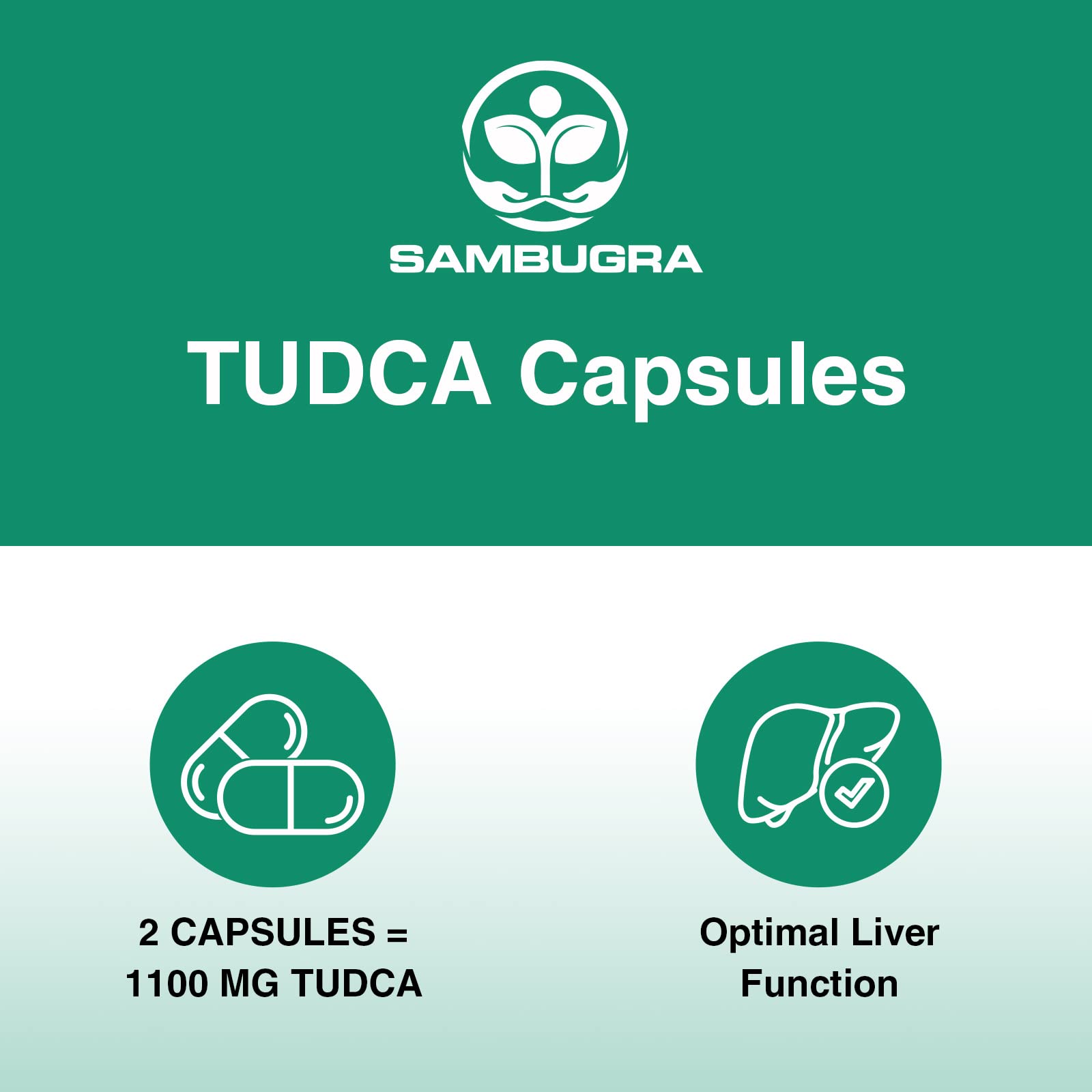 Sambugra imagen conceptual de TUDCA en polvo, beneficio: ingrediente puro y concentrado