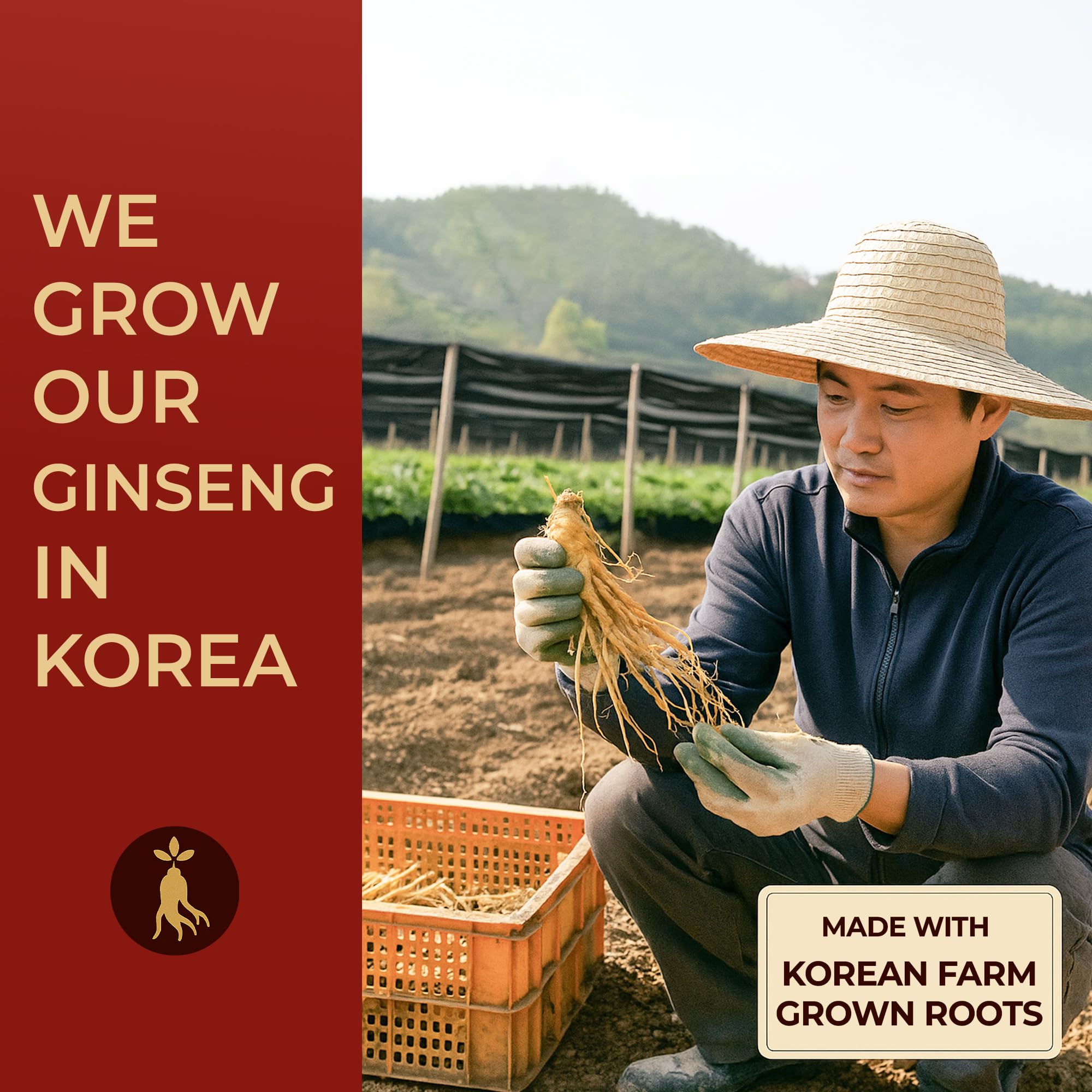 SAMSIDAE etiqueta de producto indicando origen coreano y calidad
