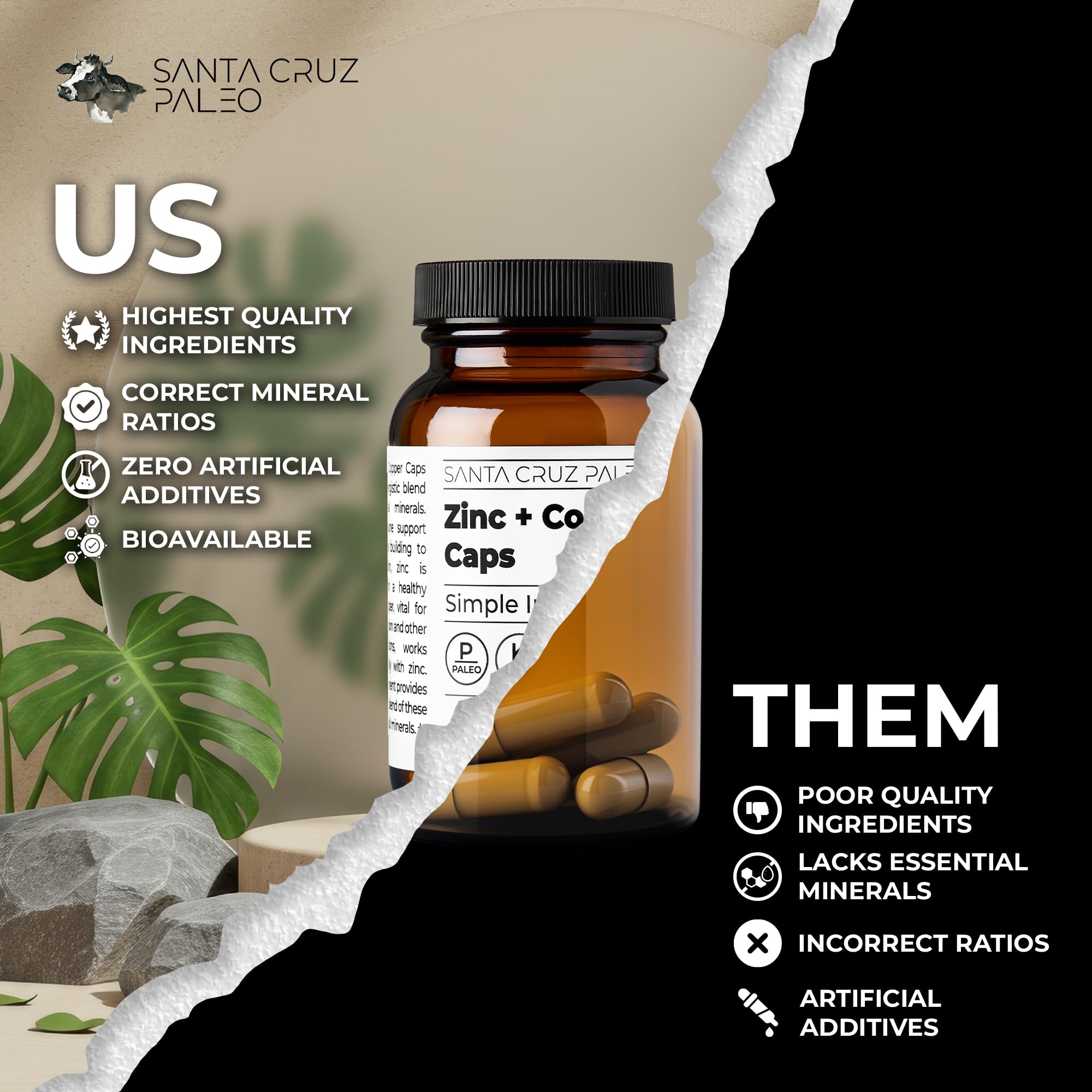 Santa Cruz Paleo comparación de tamaño junto a una moneda para referencia visual