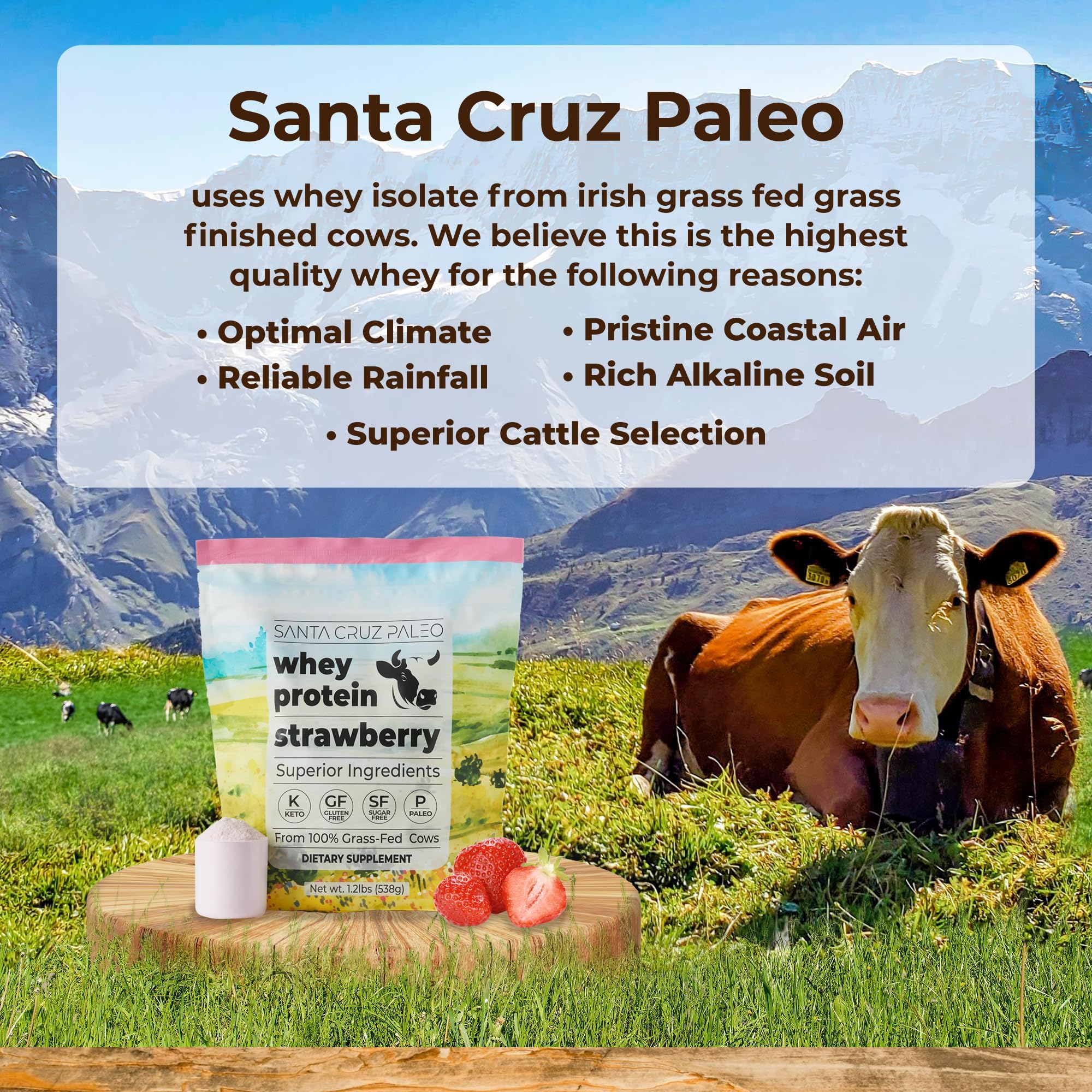 Santa Cruz Paleo cucharada de proteína aislada, fácil dosificar