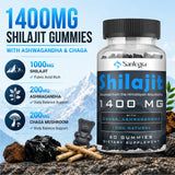 Santegra detalle de ingredientes mostrando shilajit, chaga y ashwagandha naturales