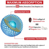 Sapotax detalle liposomal para evidenciar absorción mejorada y protección