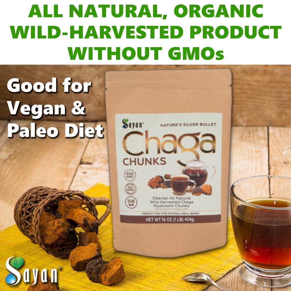 Sayan chaga usado en cocina como ingrediente de infusión culinaria