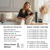 scent collection comparación de tamaño 120ml para largas sesiones de fragancia