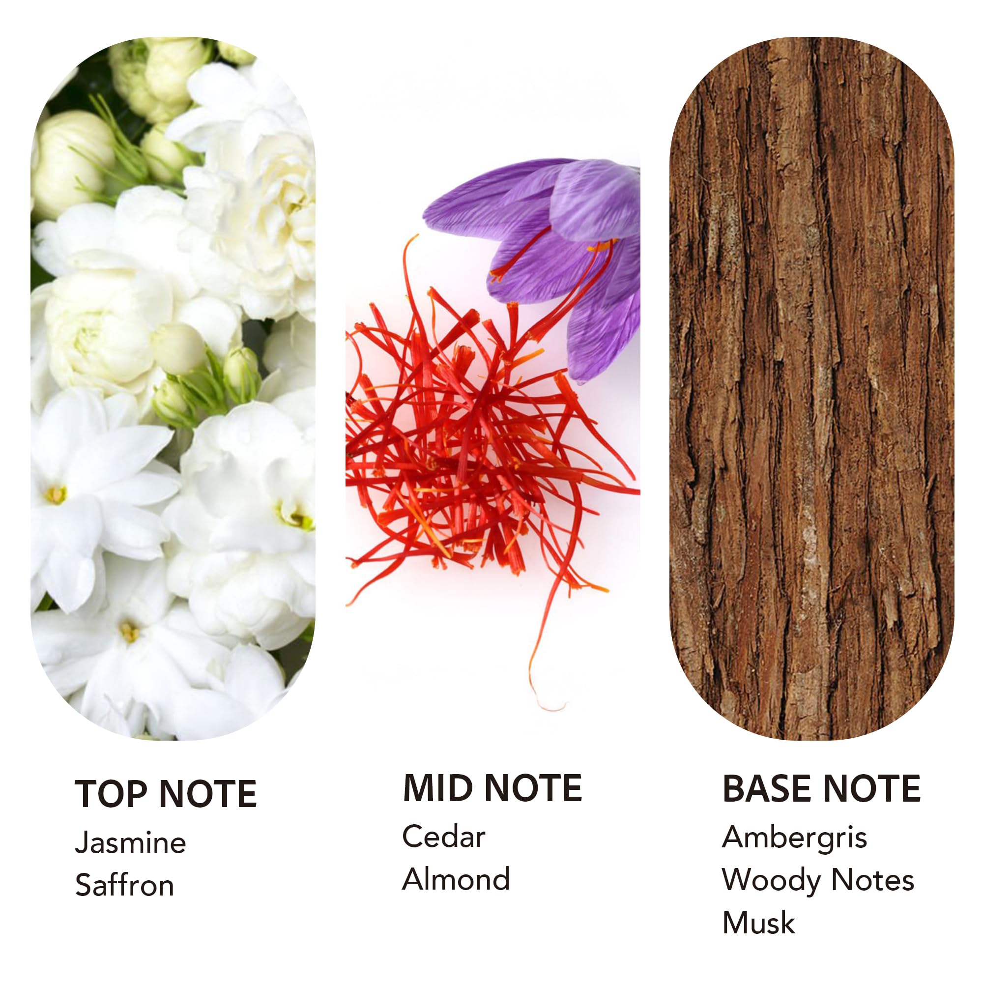 scent collection primer plano de etiqueta destacando nombre y aroma Saffron Cedar