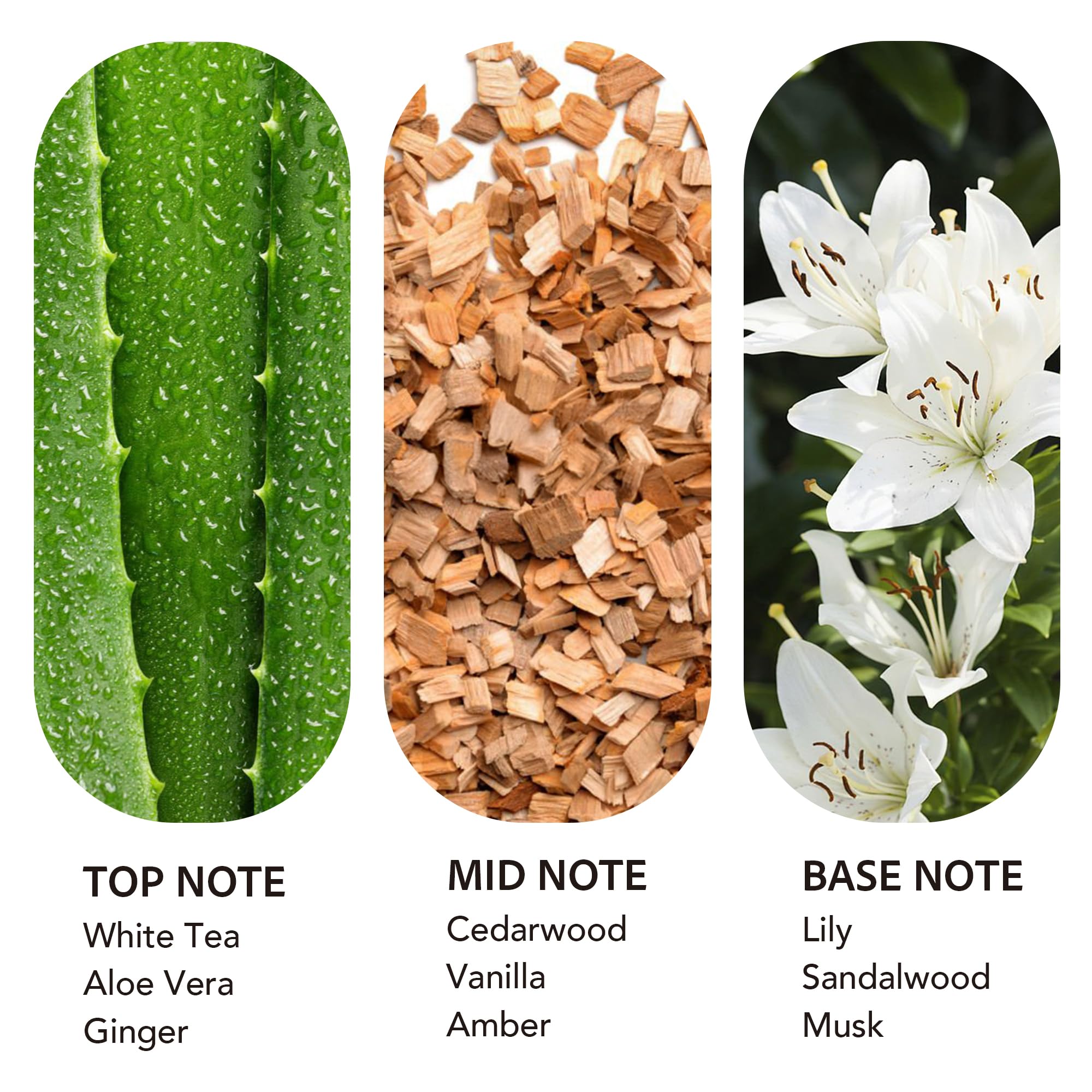 scent collection etiqueta en primer plano que muestra nombre y notas para identificación rápida