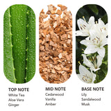 scent collection etiqueta en primer plano que muestra nombre y notas para identificación rápida