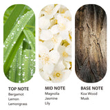 scent collection gotas de aceite en primer plano mostrando textura limpia y sin residuos