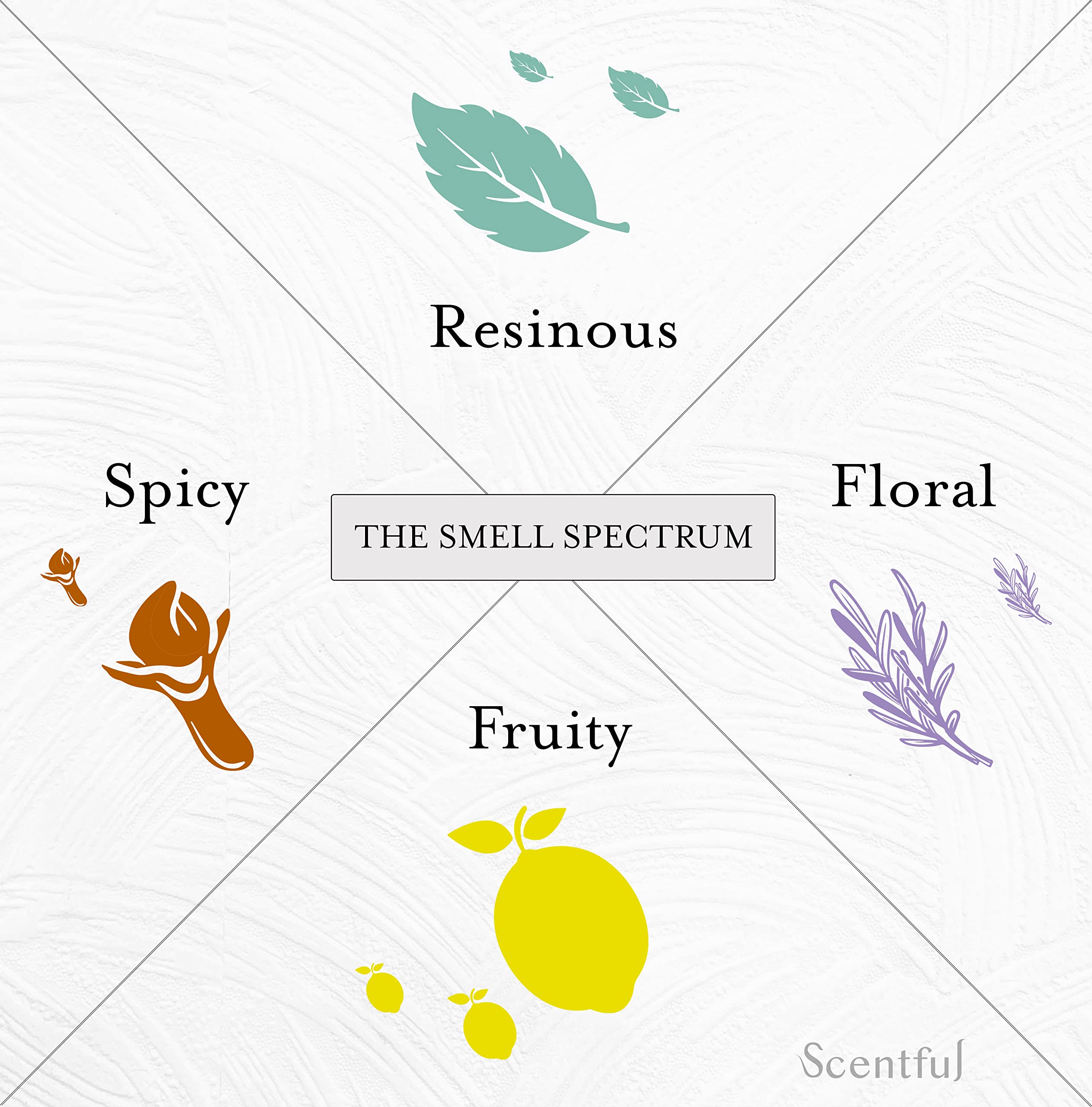 scentful kit sobre mesa en ambiente hogareño promoviendo constancia y bienestar