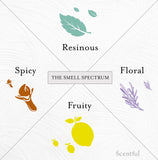 scentful kit sobre mesa en ambiente hogareño promoviendo constancia y bienestar