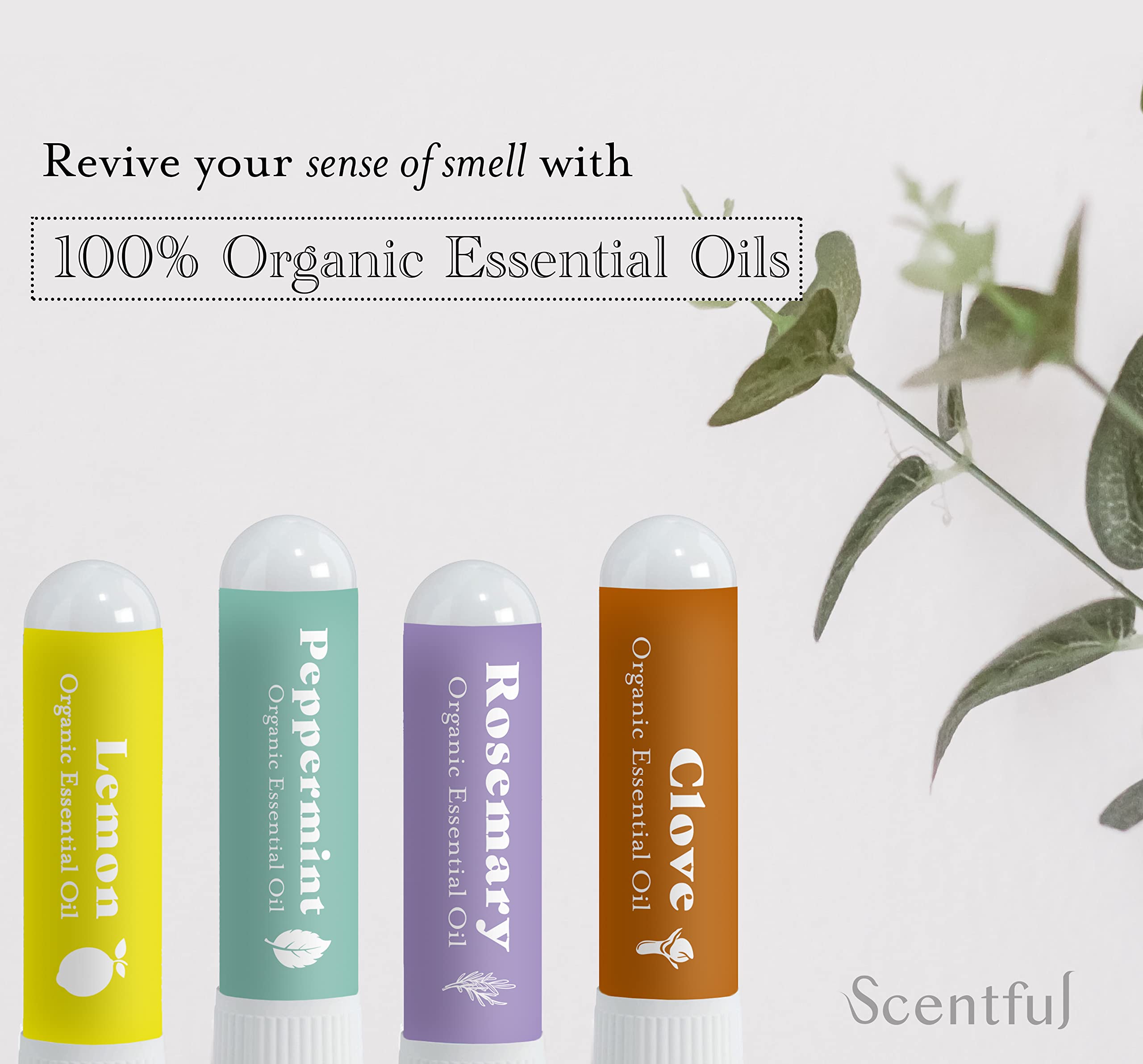 scentful primer plano del gotero mostrando pureza del aceite y facilidad uso