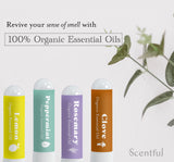 scentful primer plano del gotero mostrando pureza del aceite y facilidad uso