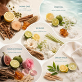 Scentia cinco frascos de 20 ml alineados mostrando etiquetas y colores de fragancias