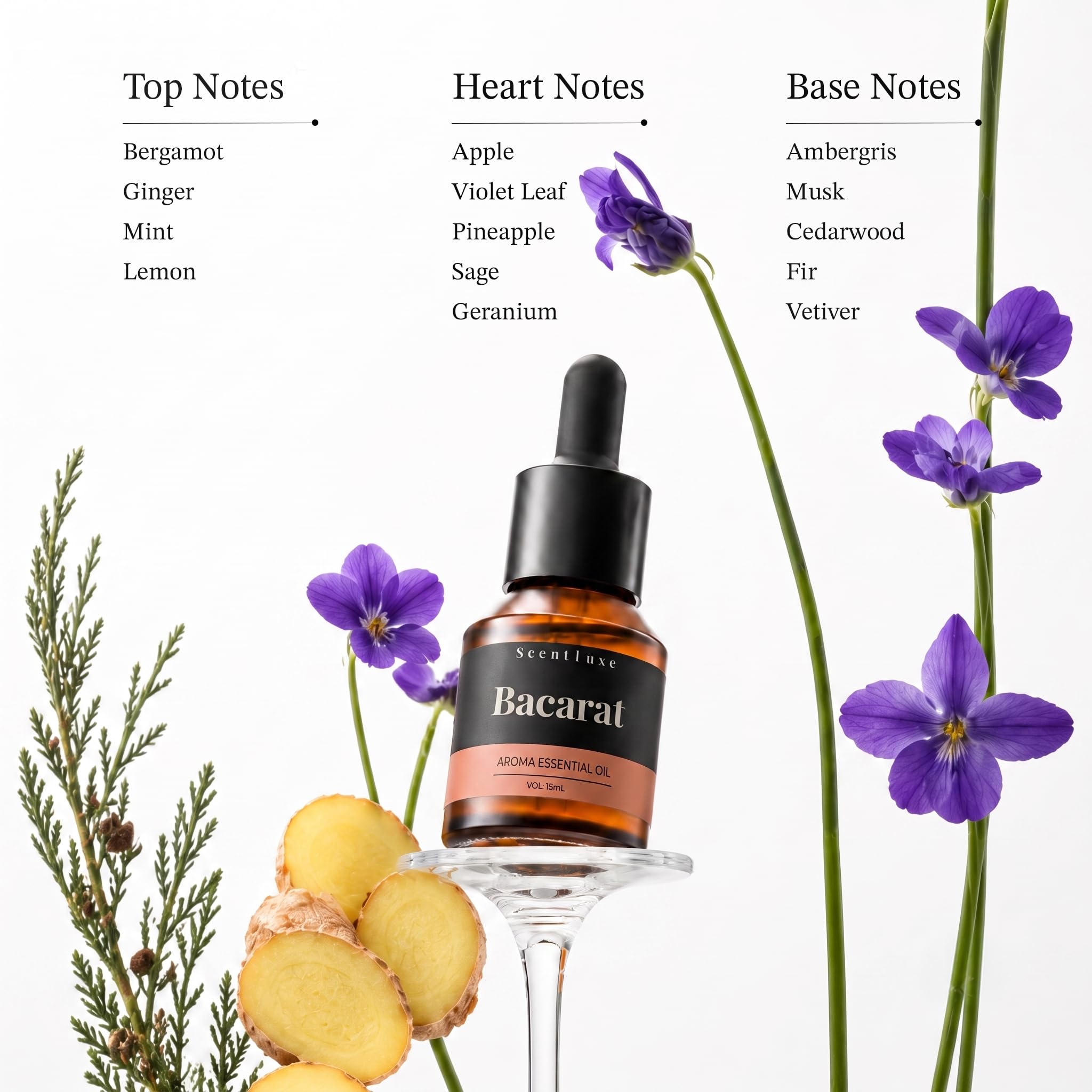 Scentluxe etiqueta elegante que transmite calidad de lujo