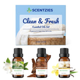 SCENTZIES caja del conjunto que muestra presentación elegante y práctico regalo