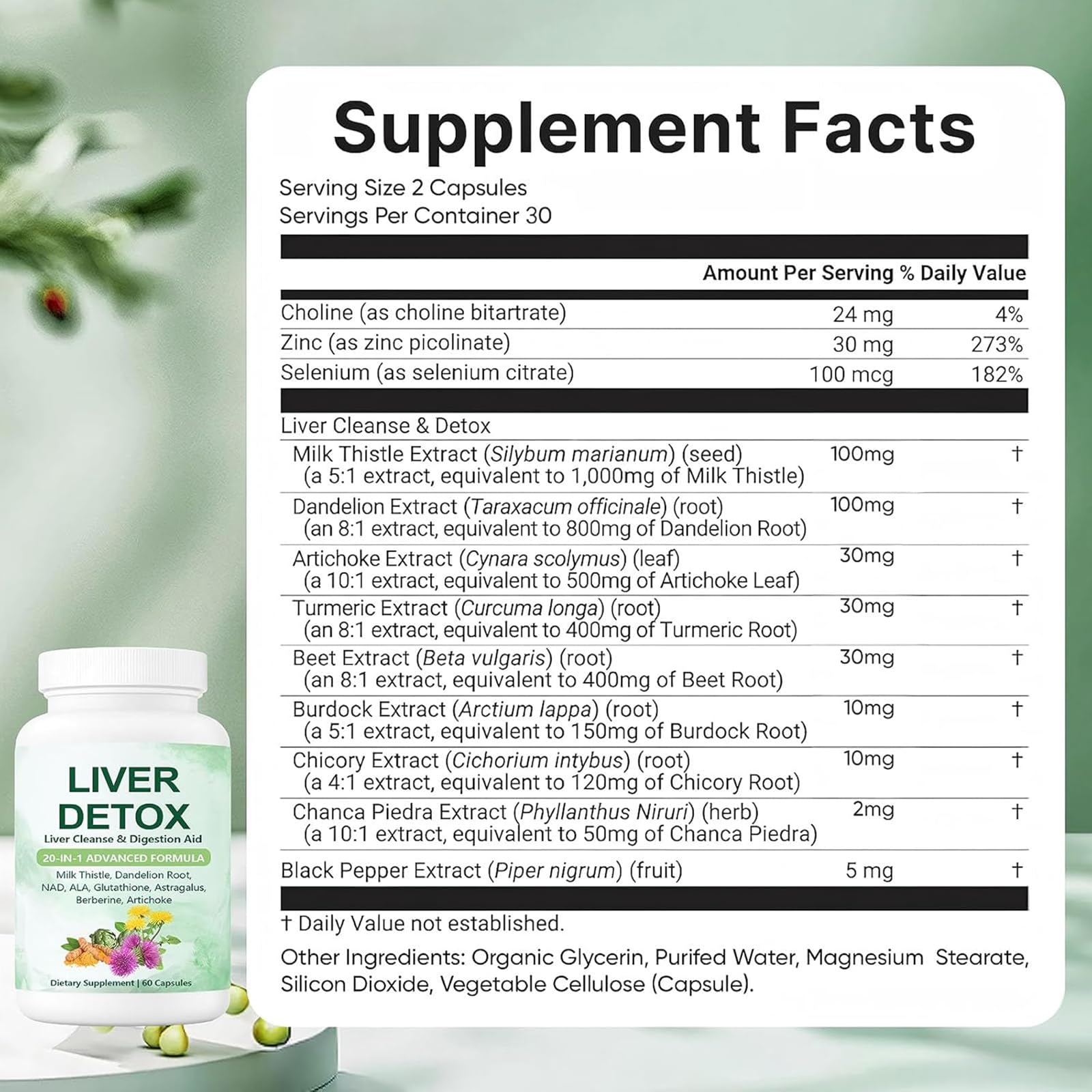 SCEZROB Nutrapure ambientación saludable con frutas y hojas verdes