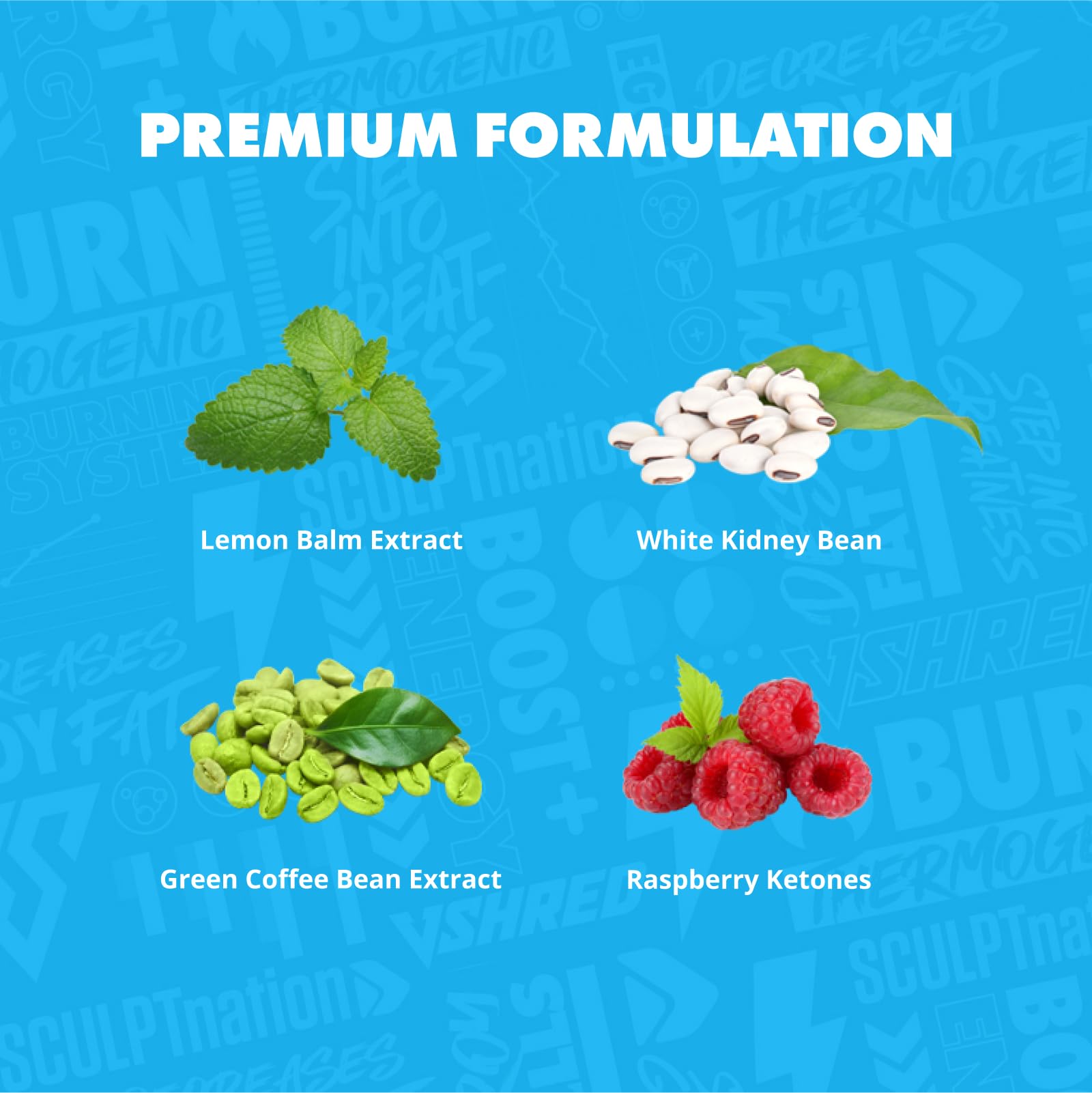Sculpt Nation Burn PM ingredientes primarios como cetonas y café verde en primer plano