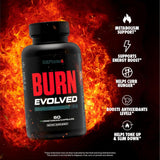 Sculpt Nation detalle de la etiqueta con ingredientes clave y seguridad