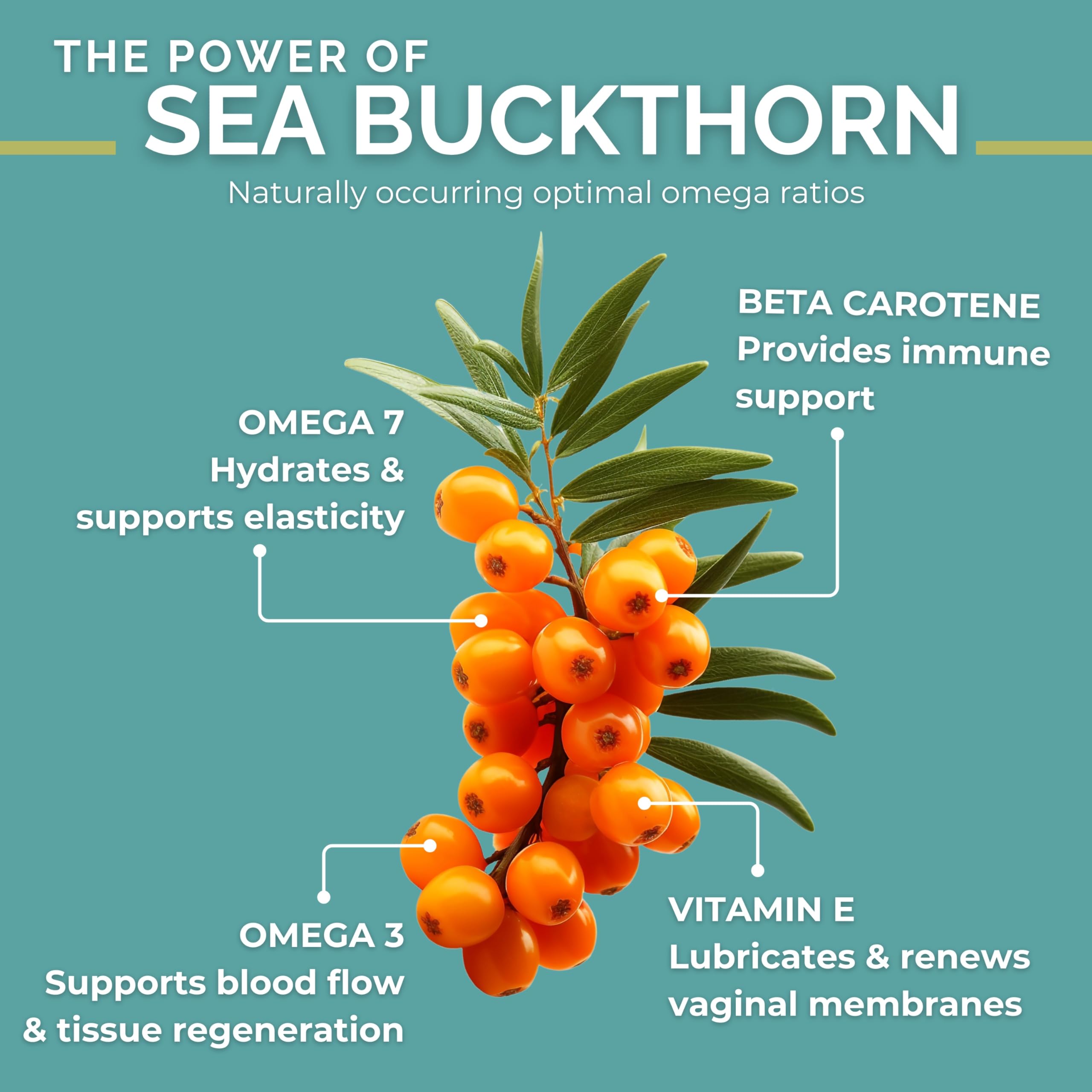 SEABUCKWONDERS gota de aceite de sea buckthorn mostrando pureza