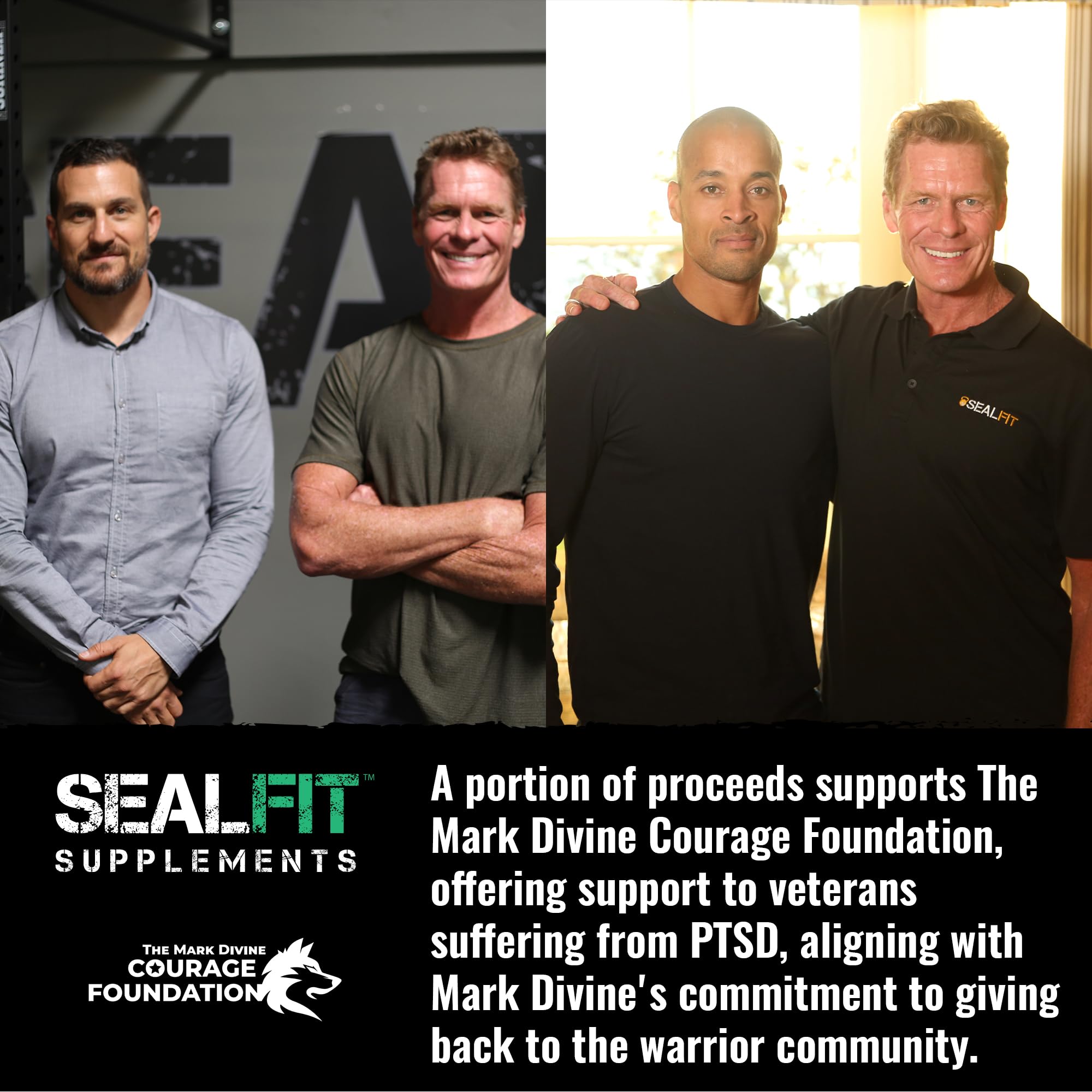 SEALFIT ingredientes primarios creatina y calostro en presentación clara